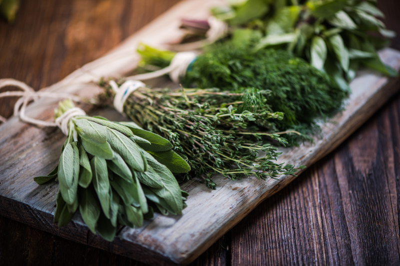 Fresh Italian herbs grown at Ortro de' Pecci