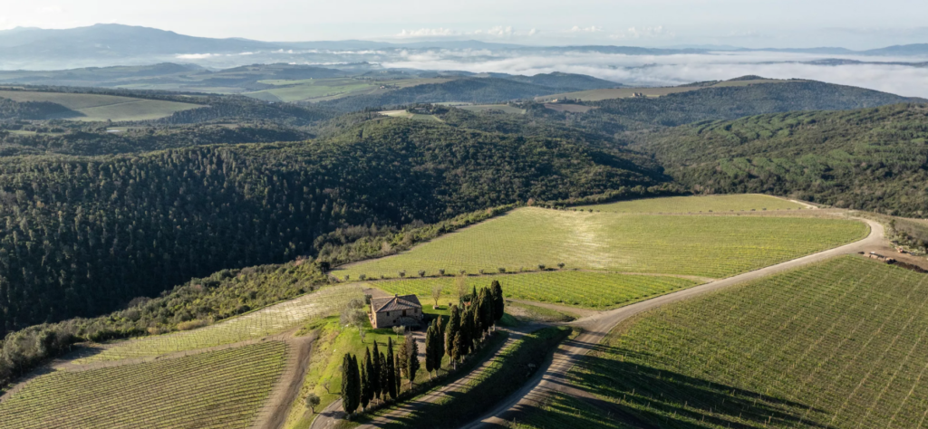 Brunello di Montalcino vineyards.
